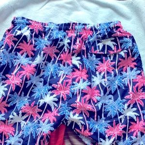 Gifted* Ocean Gear 🌊 men’s swim trunks size Large NWOT